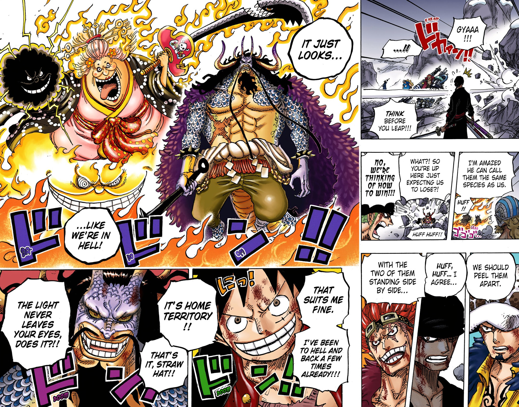 One Piece Digital Colored Chapter 1008 image 16